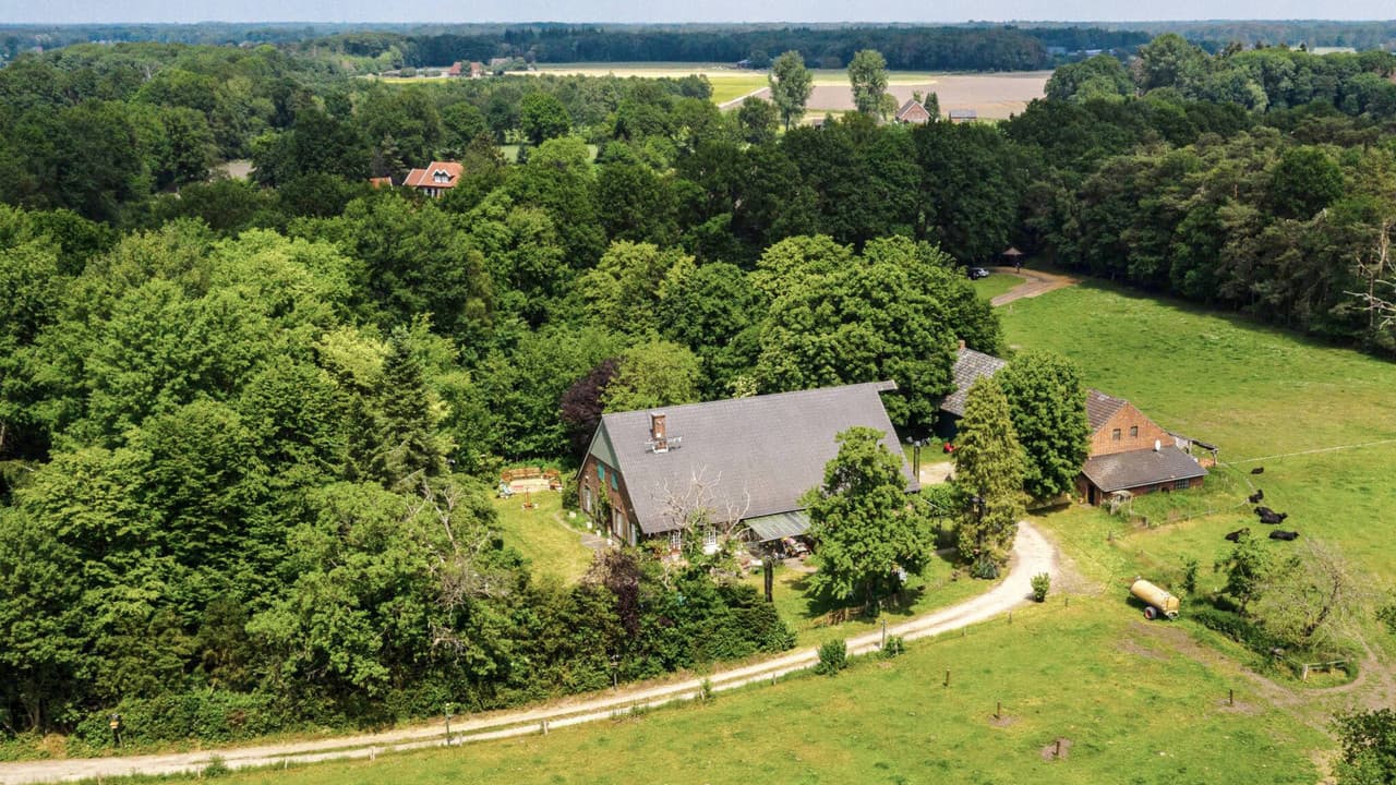 Szene aus Das Sommerhaus der Stars - Kampf der Promipaare