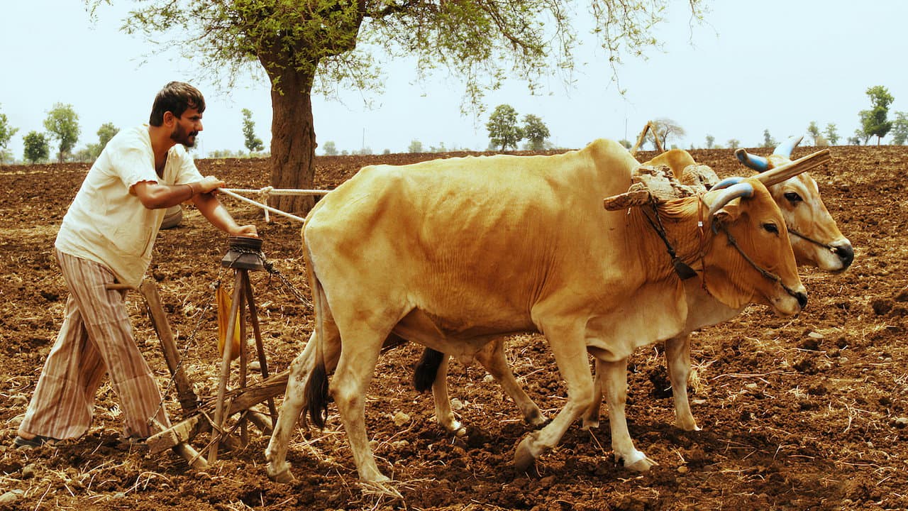 Szene aus गाभ्रीचा पाऊस