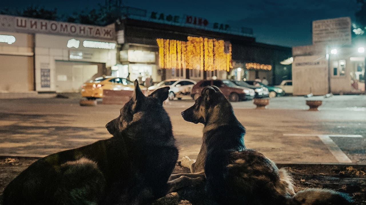 Szene aus Space Dogs