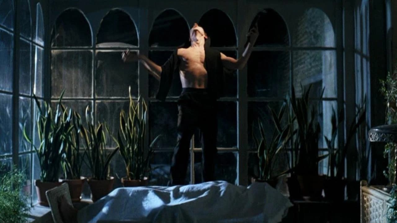 Szene aus Het Sacrament