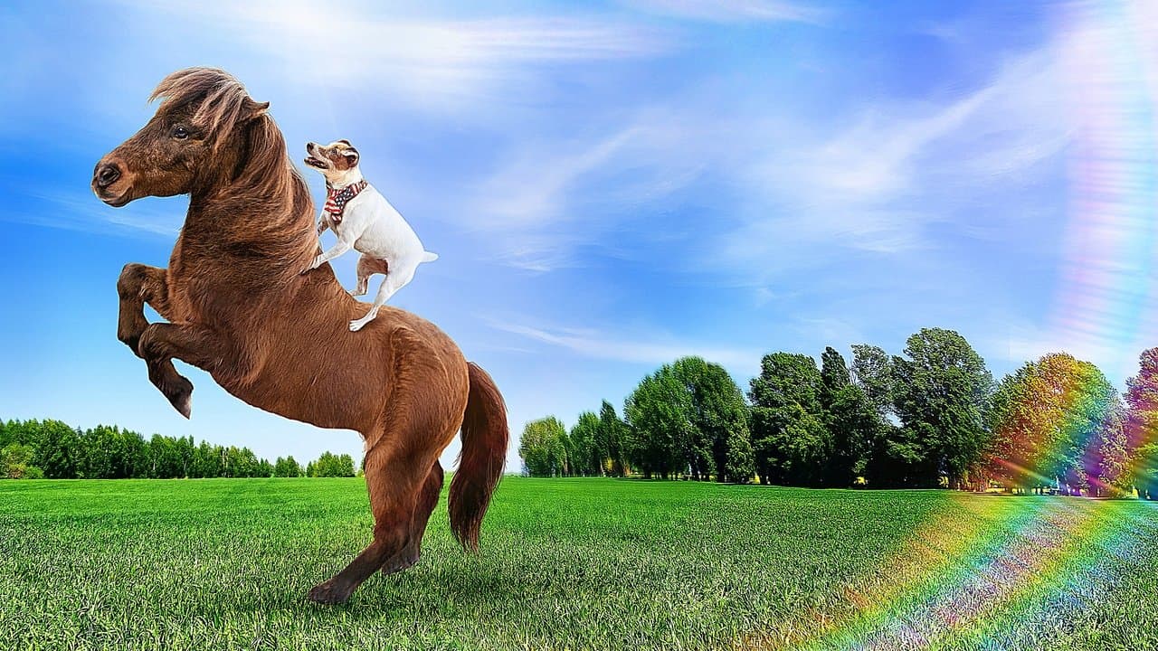 Szene aus Adventures of Dally and Spanky