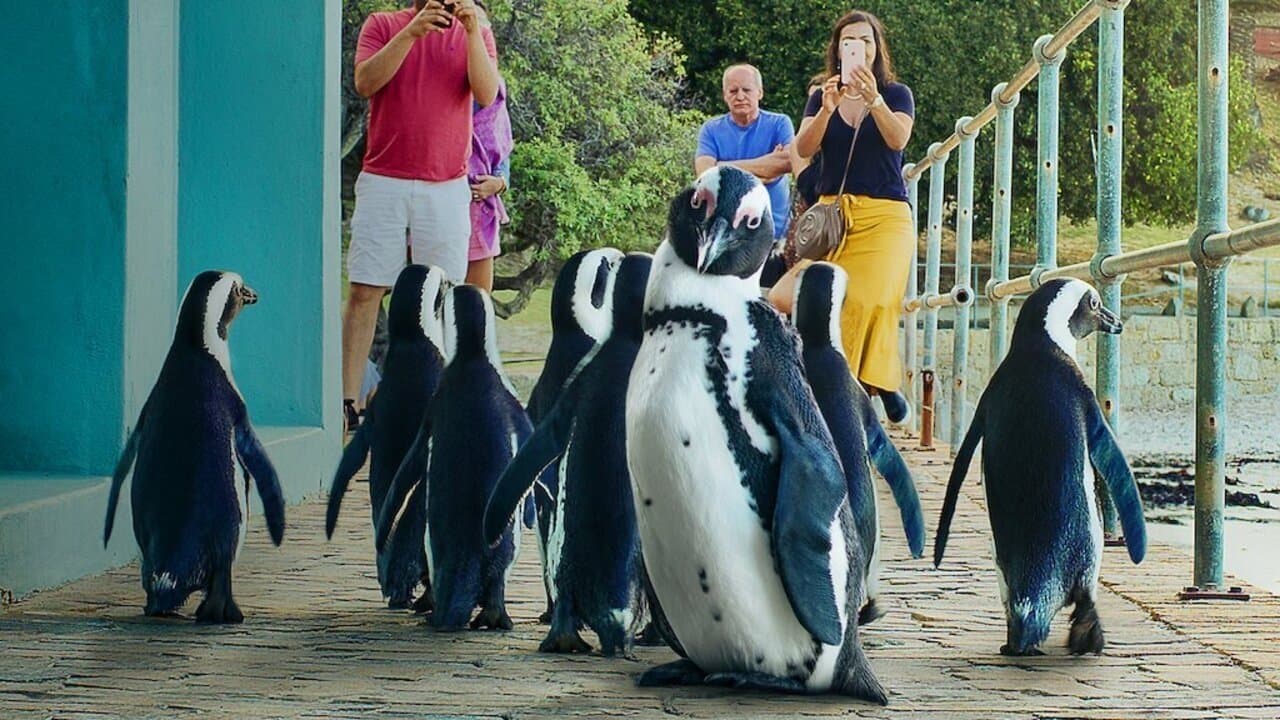 Szene aus Stadt der Pinguine