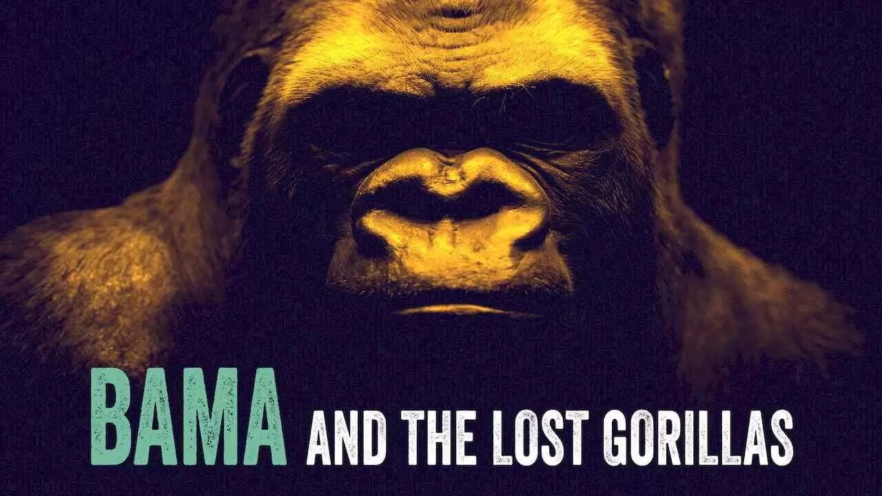 Szene aus Bama, der Gorillamann - Abenteuer in Kamerun