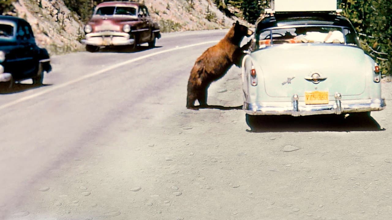 Szene aus America's National Parks at 100