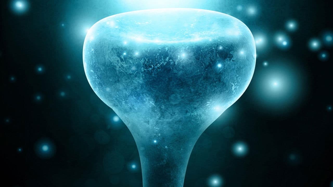 Szene aus Neurons to Nirvana