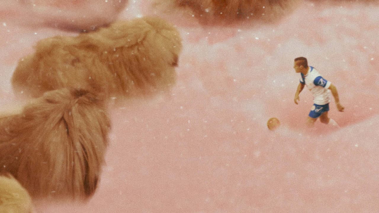 Szene aus Diamantino