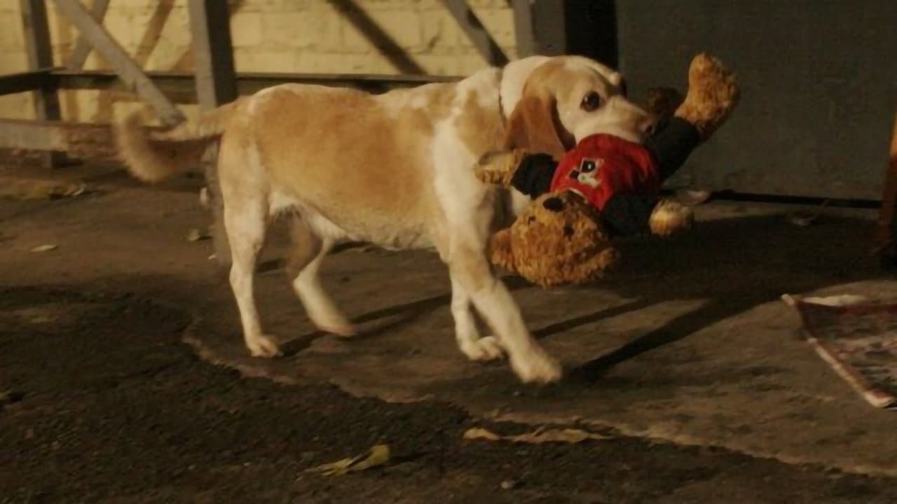 Szene aus Mein Freund Ted