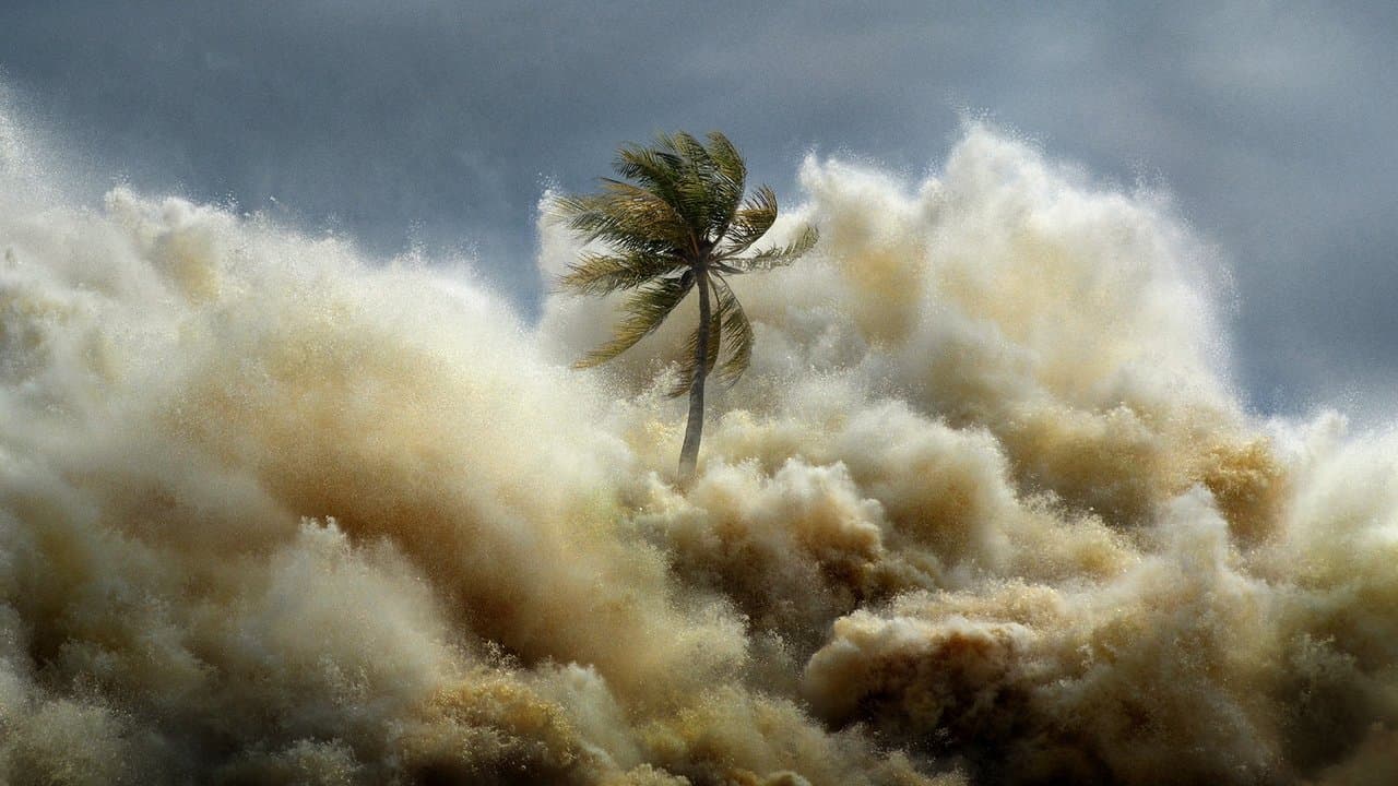 Szene aus Tsunami: Wettlauf gegen die Zeit