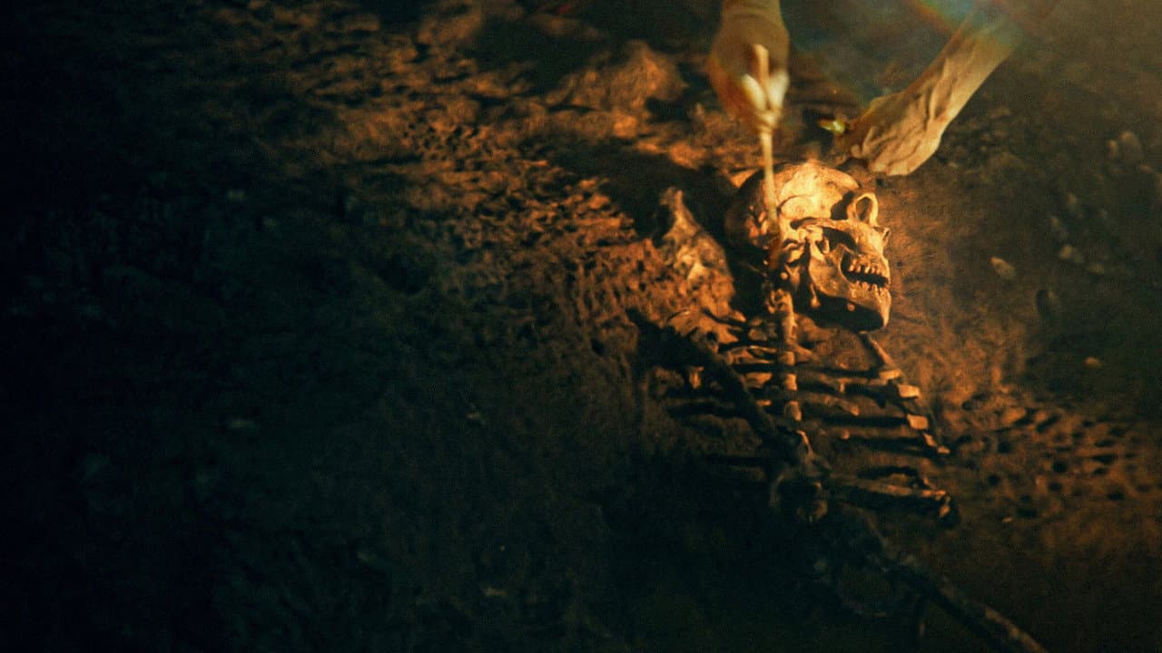 Szene aus Geheimnisse der Neandertaler
