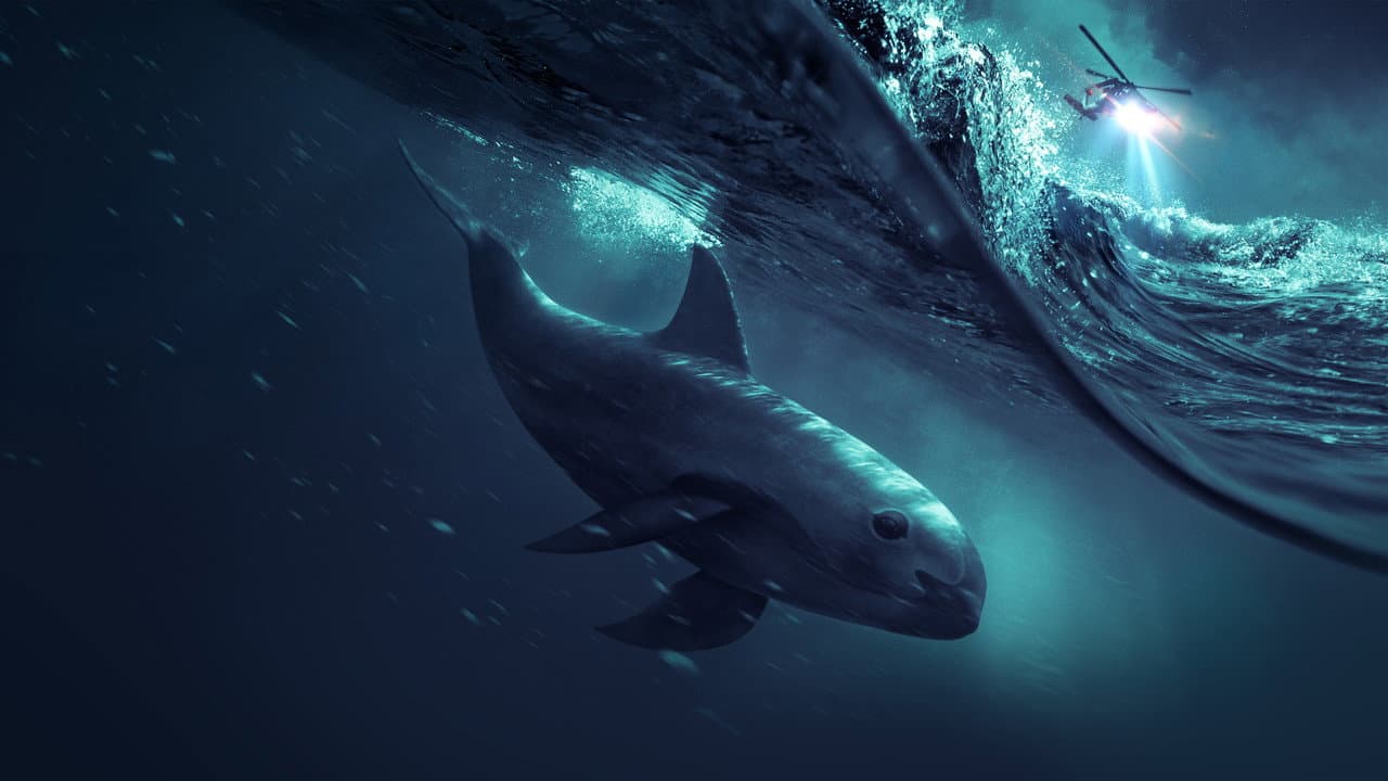 Szene aus Sea of Shadows – Kampf um das Kokain des Meeres