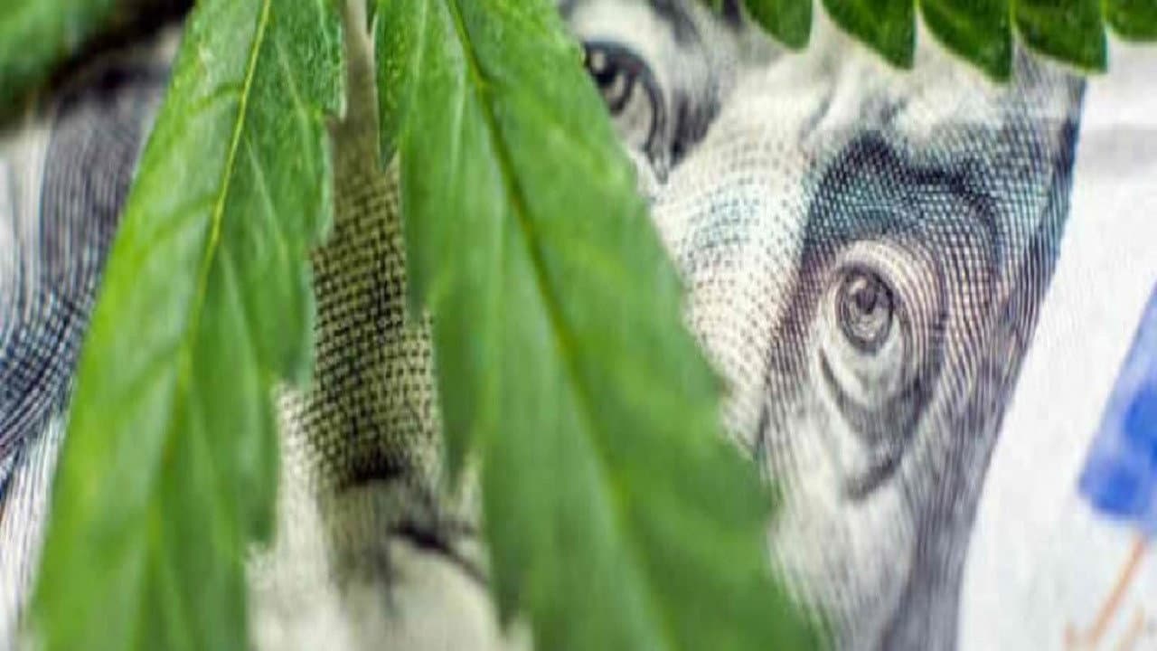 Szene aus Cannabis : quand le deal est légal