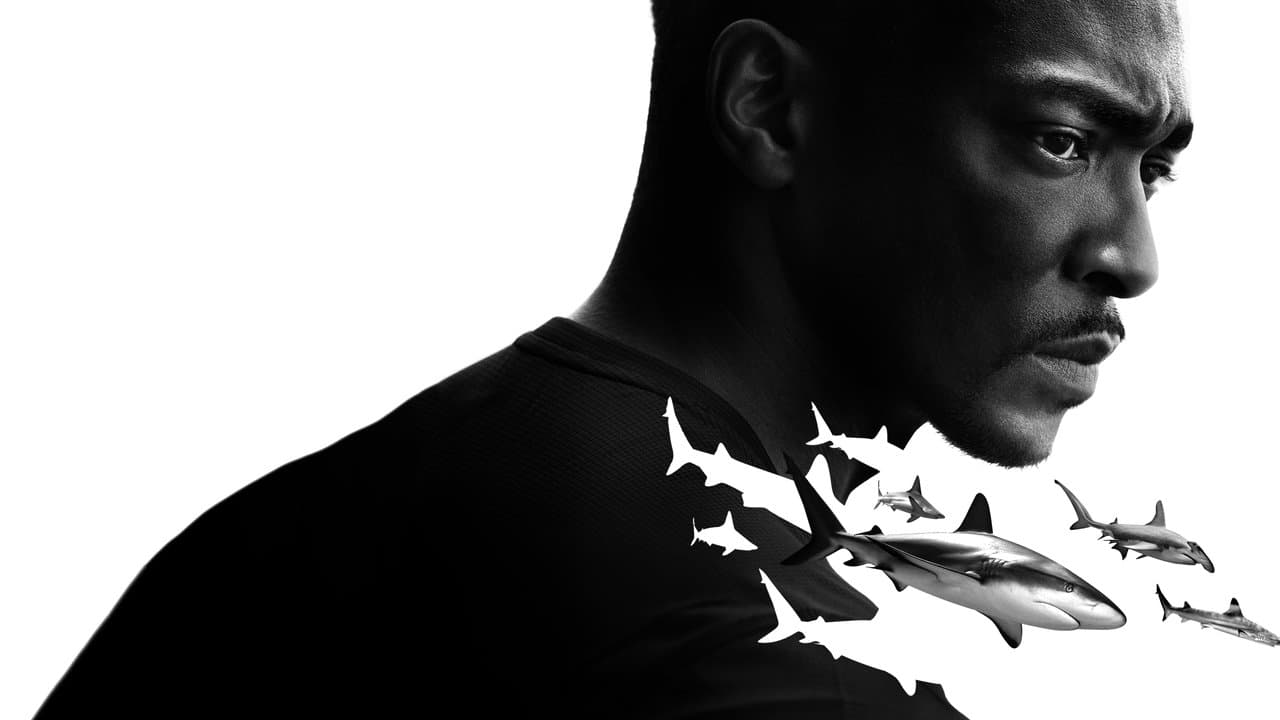 Szene aus Der Strand der Haie mit Anthony Mackie: Golfküste
