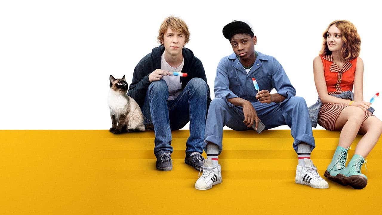 Szene aus Ich und Earl und das Mädchen