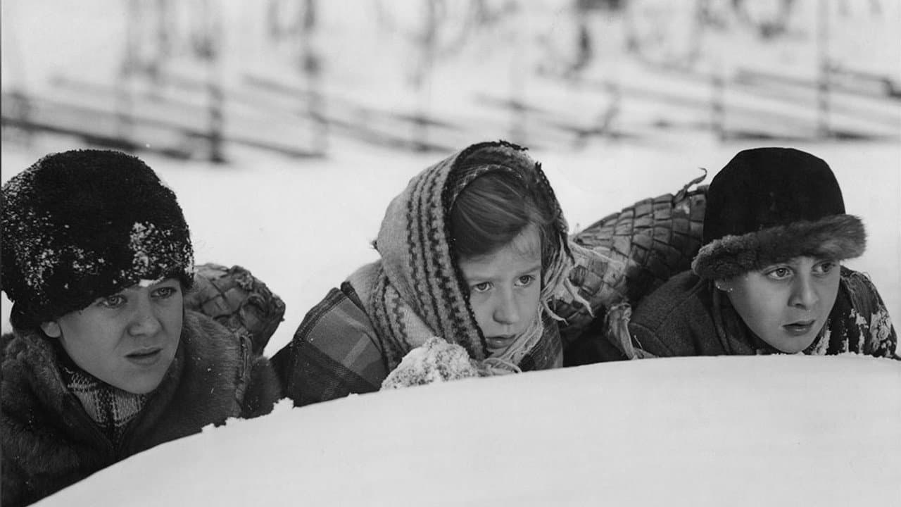 Szene aus Barnen från Frostmofjället