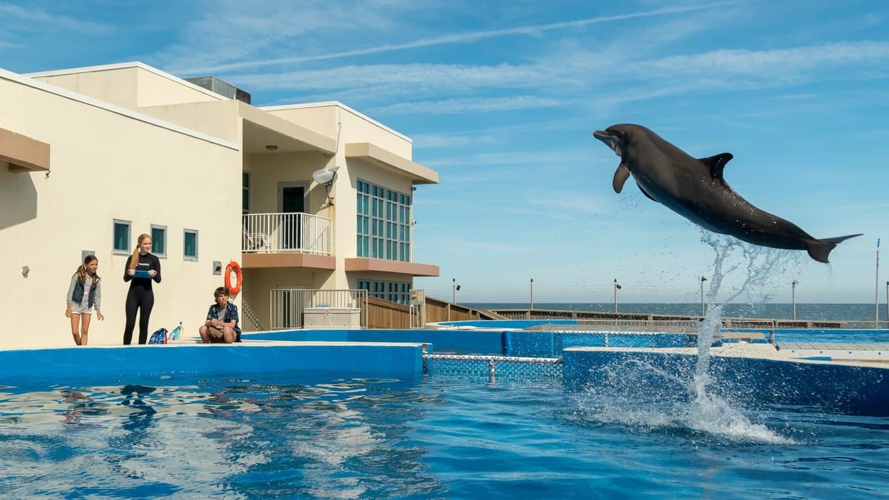 Szene aus Bernie der Delfin