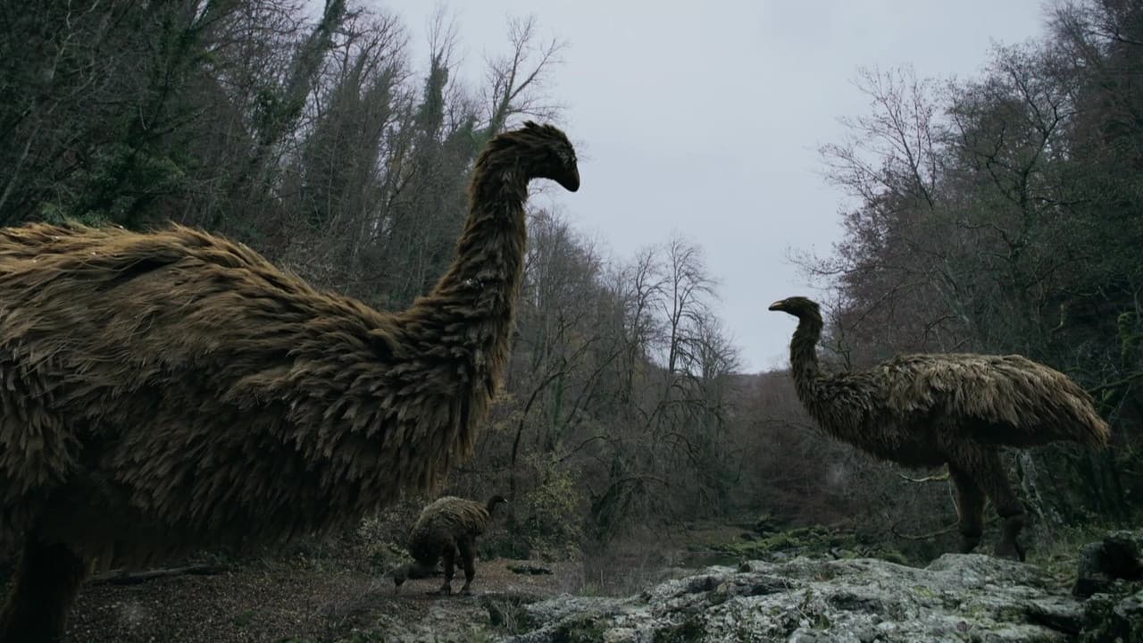 Szene aus Das Rätsel der Riesen-Laufvögel
