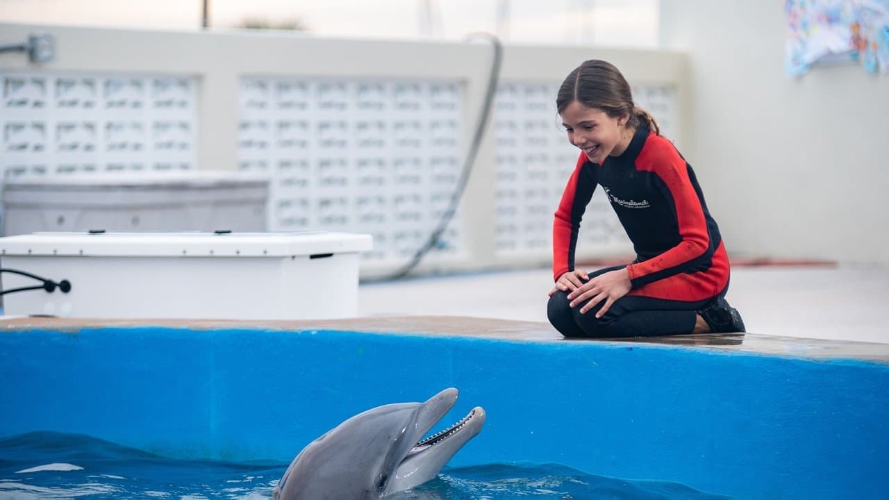 Szene aus Bernie der Delfin 2 - Ein Sommer voller Abenteuer