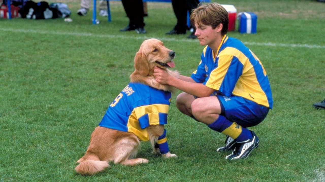 Szene aus Air Bud 3 - Ein Hund für alle Bälle