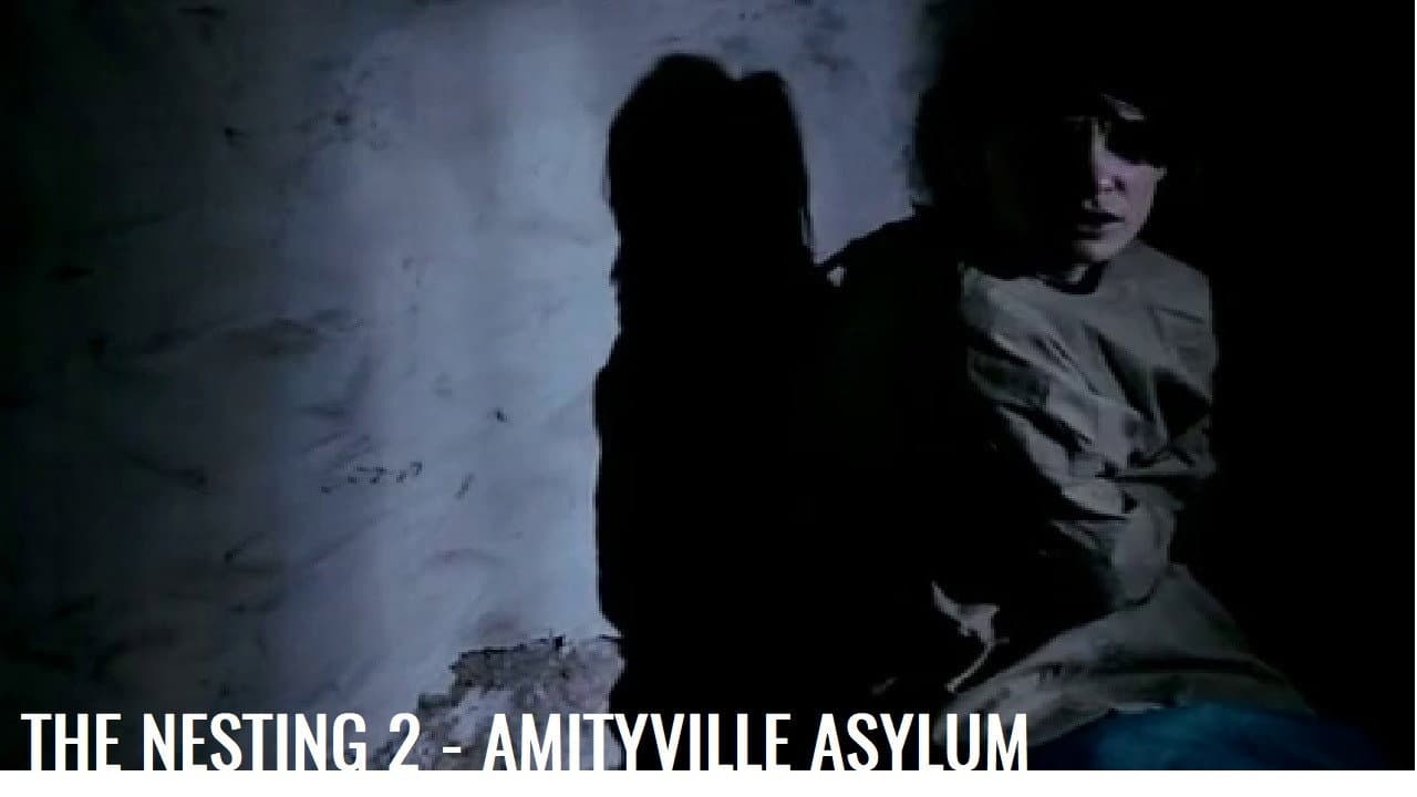 Szene aus The Nesting 2 - Amityville Asylum