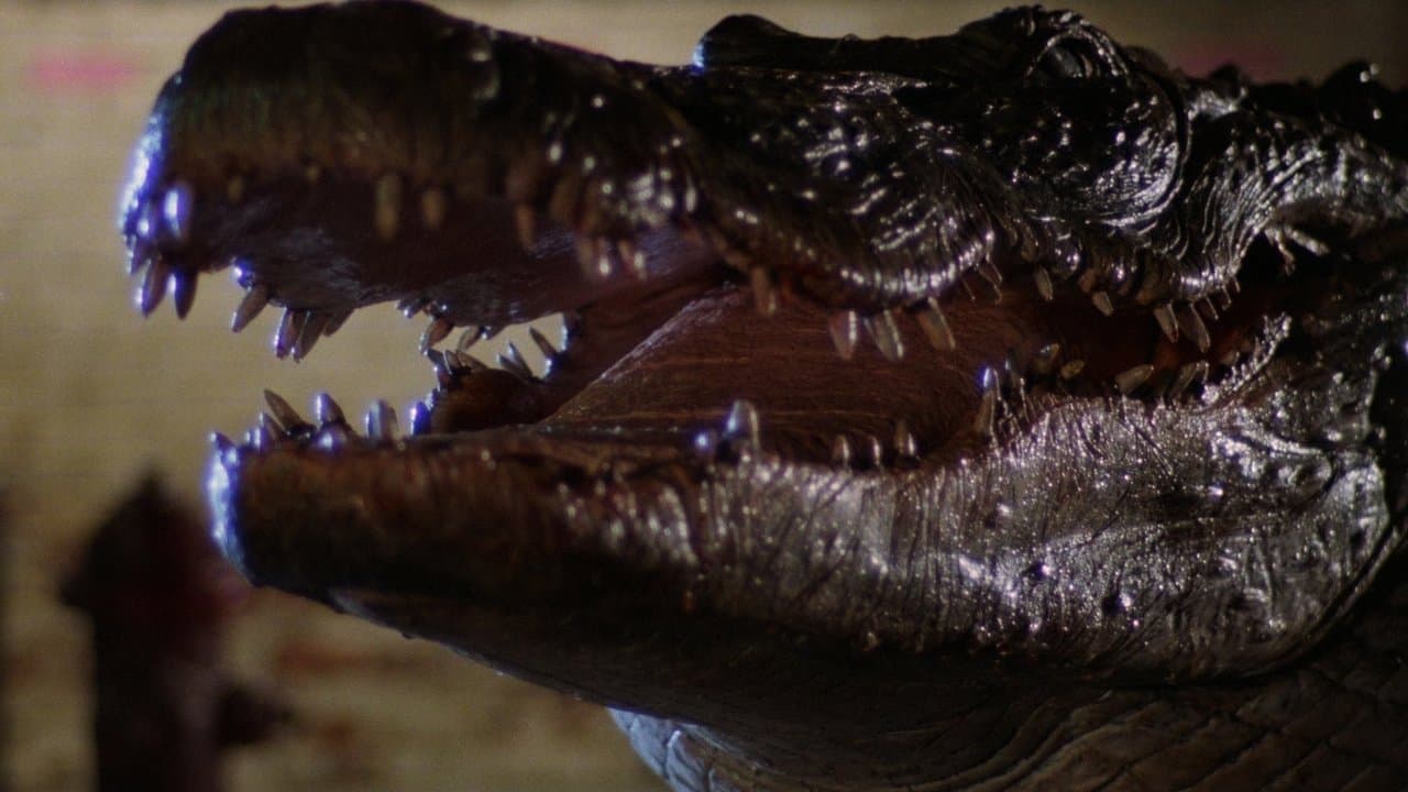 Szene aus Der Horror-Alligator