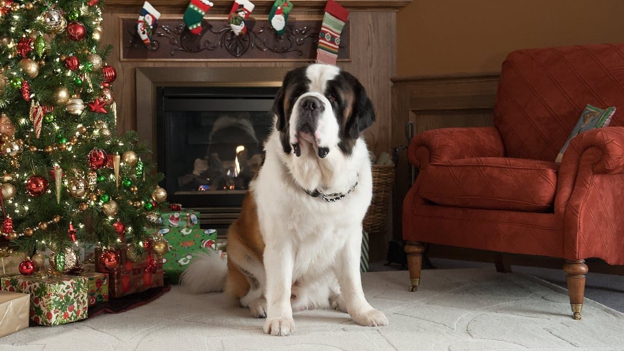 Szene aus Beethovens abenteuerliche Weihnachten