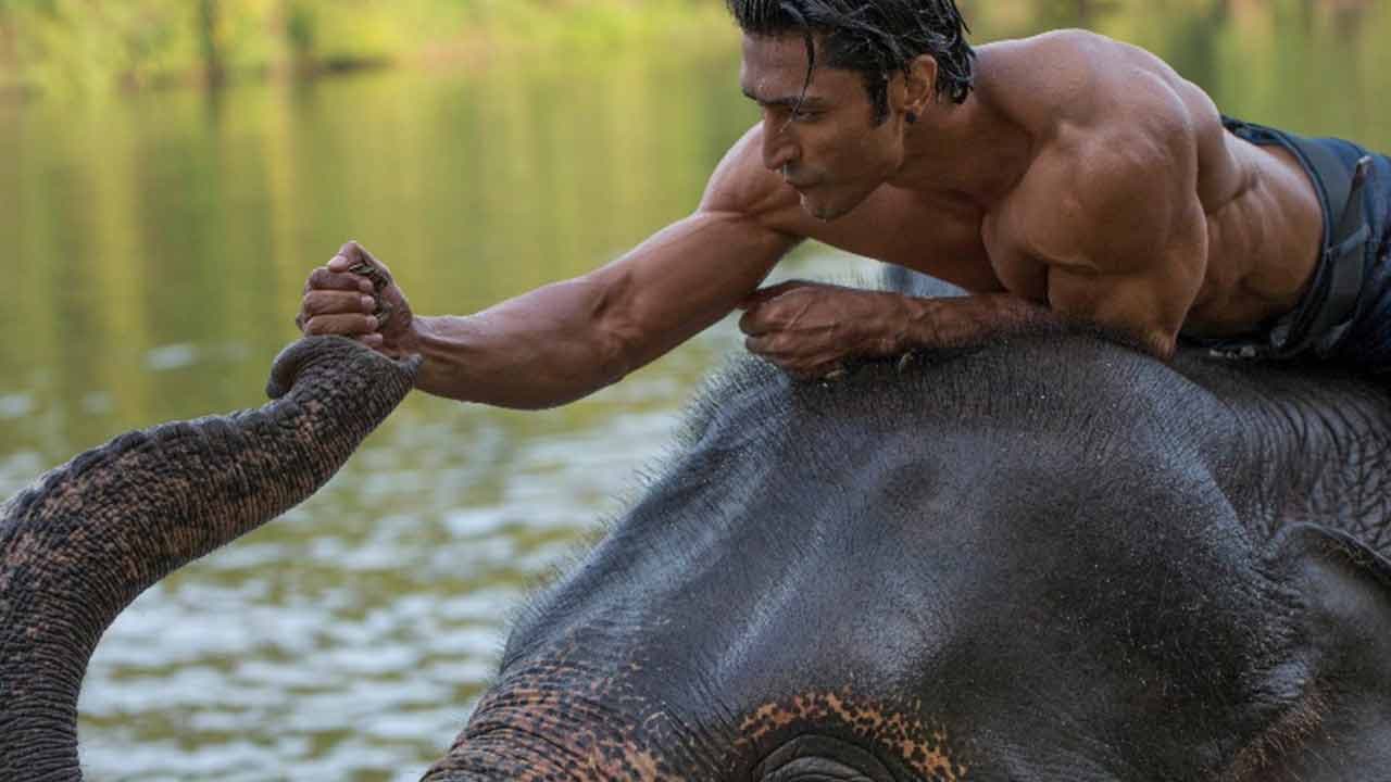 Szene aus जंगली