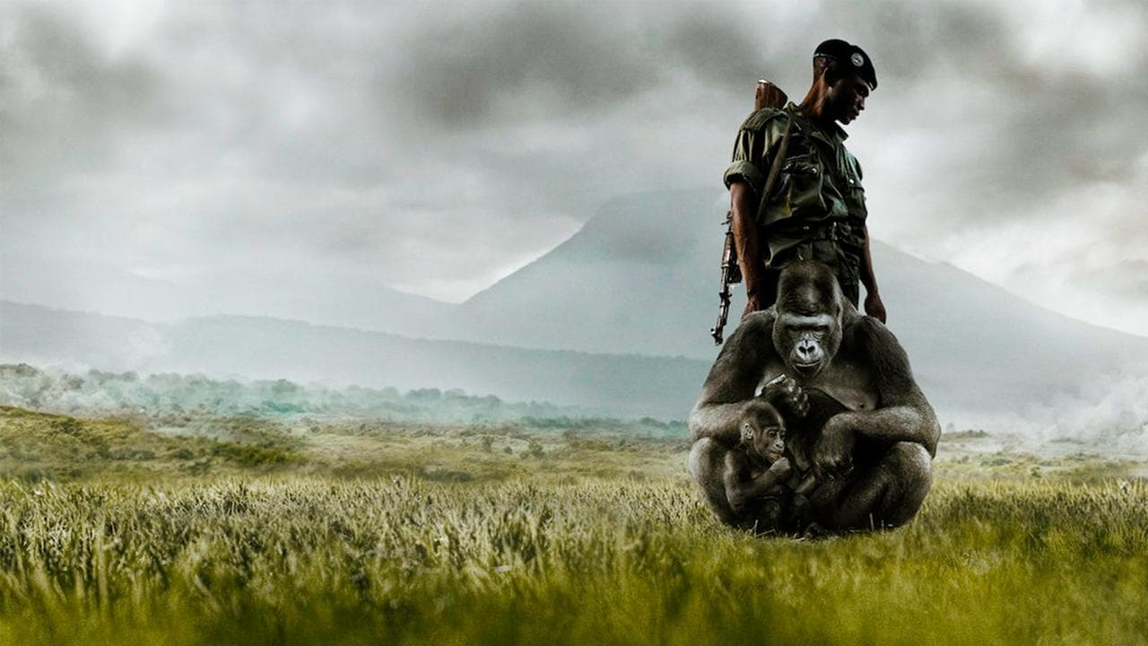Szene aus Virunga