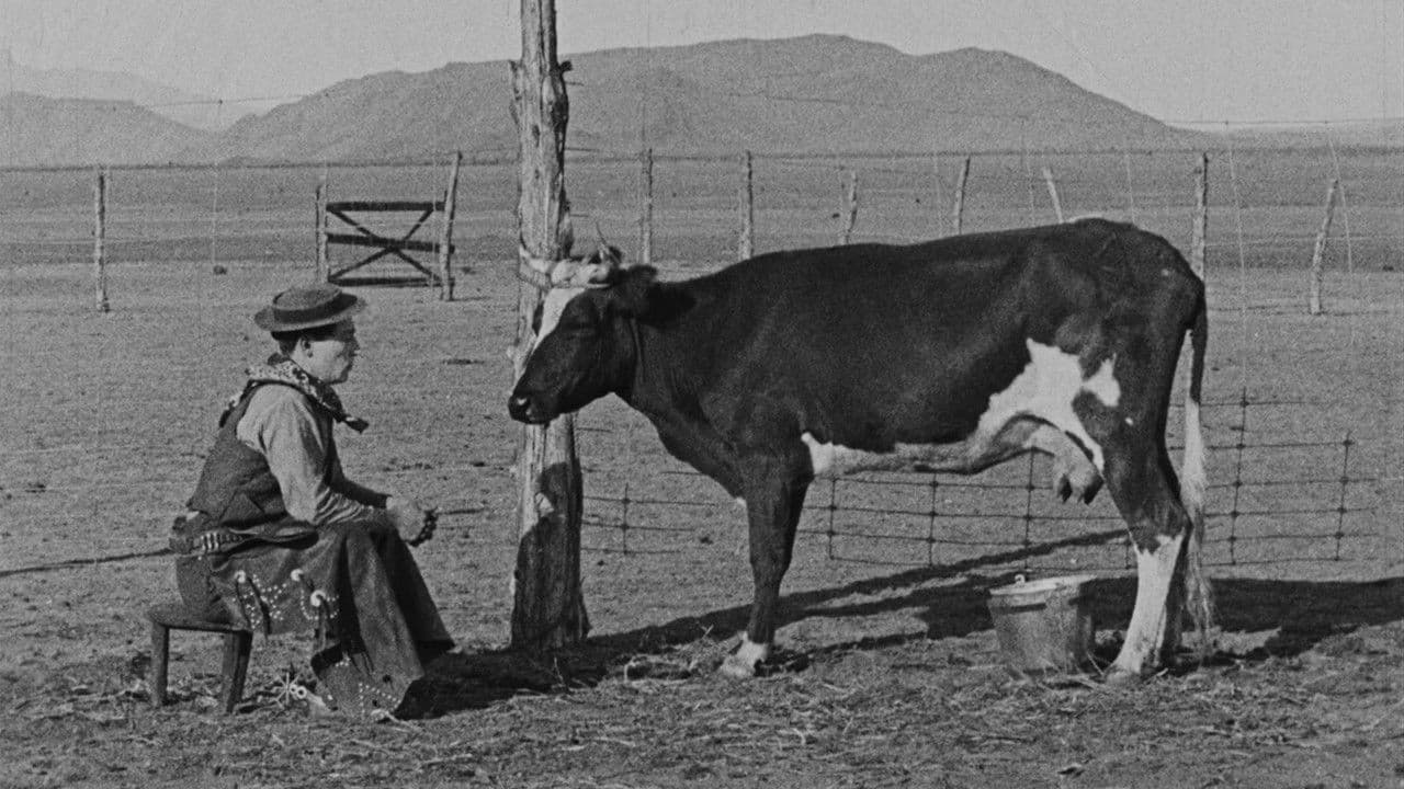 Szene aus Der Cowboy