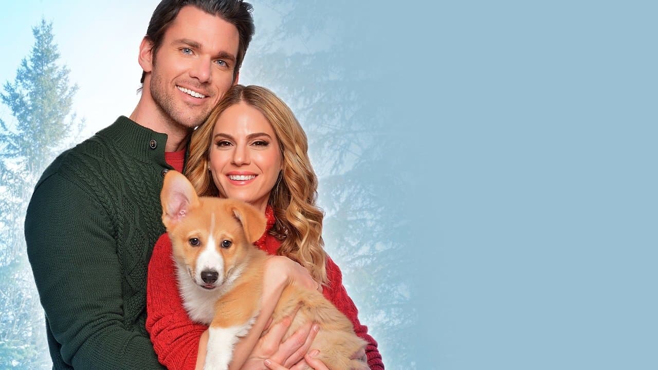 Szene aus A Very Corgi Christmas - Liebe auf vier Pfoten