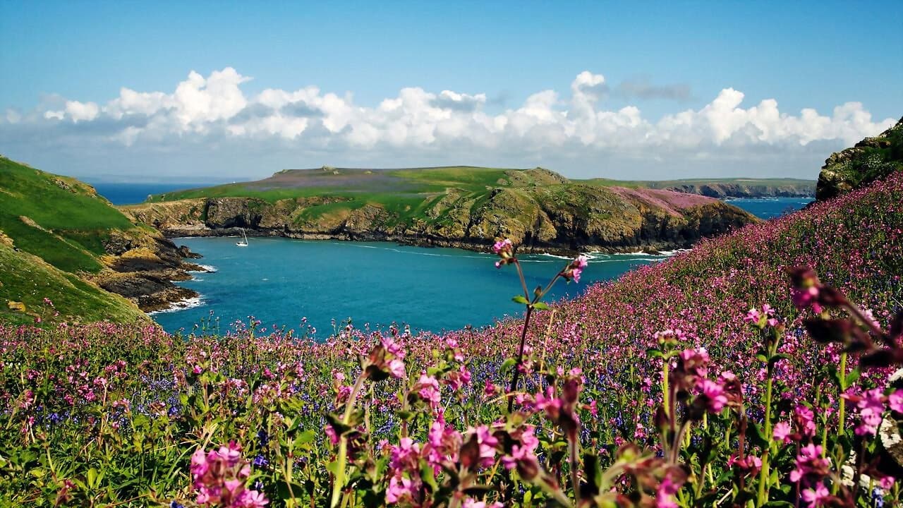 Szene aus Wales - Großbritanniens wilder Westen