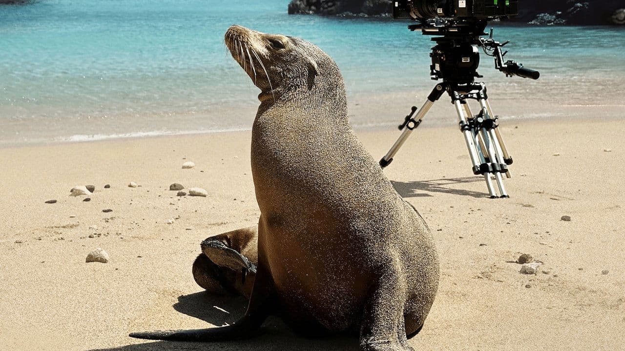Szene aus Guardians of the Galapagos