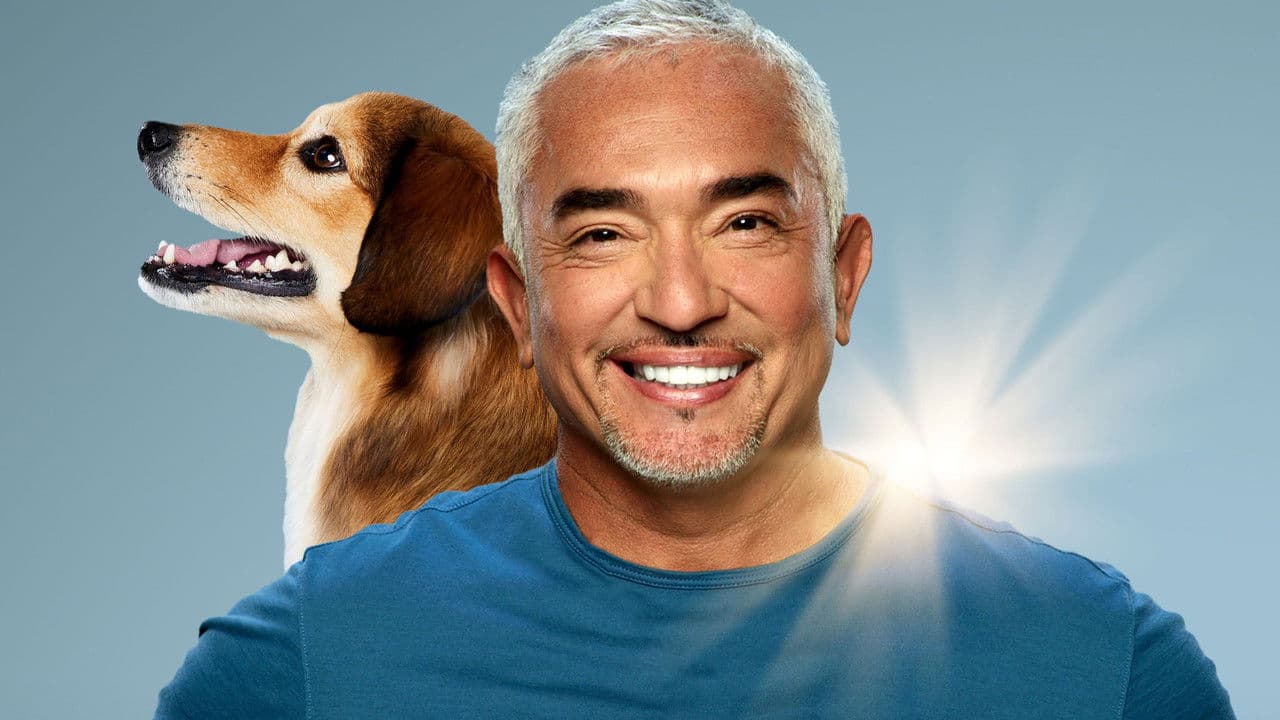 Szene aus Cesar Millan: Guter Mensch guter Hund
