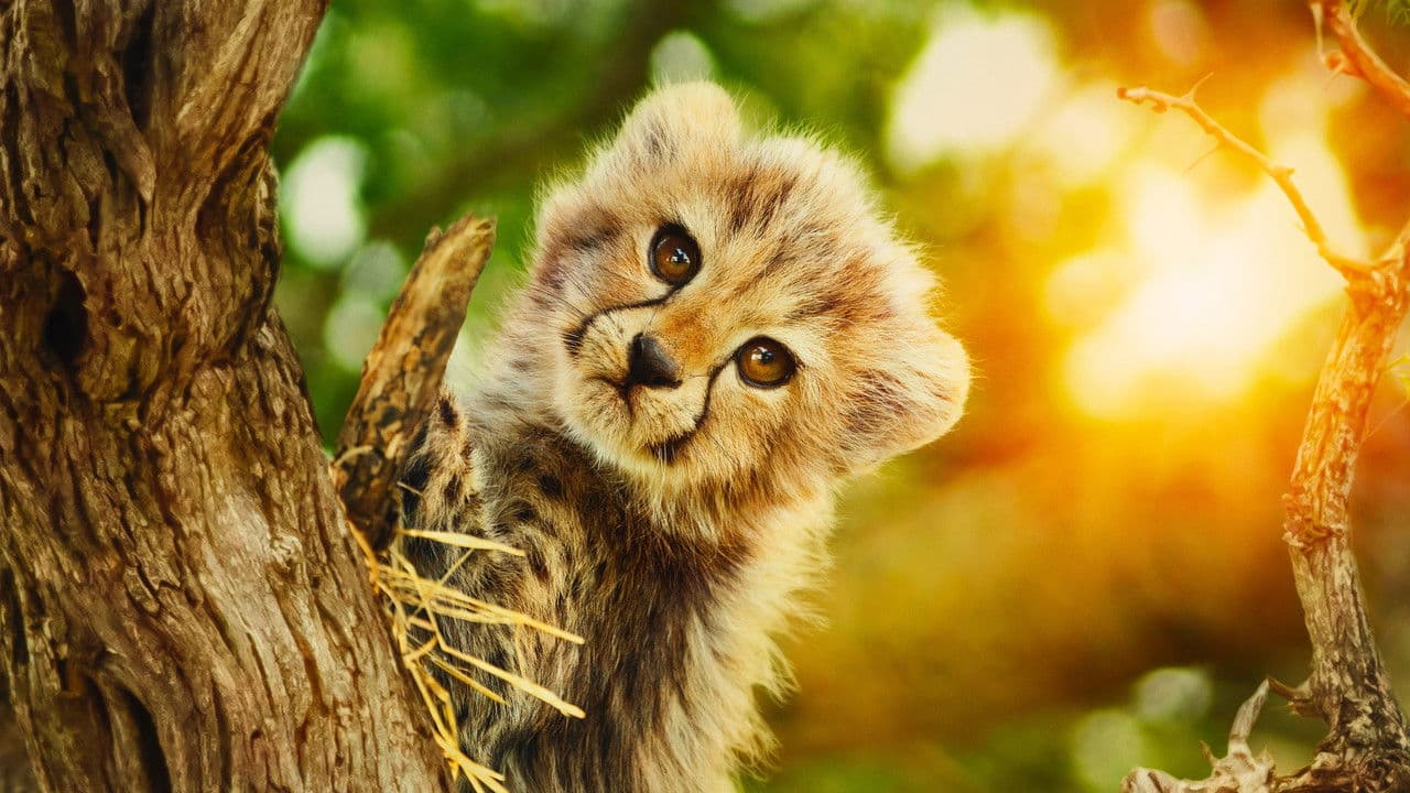 Szene aus Für die Wildnis geboren