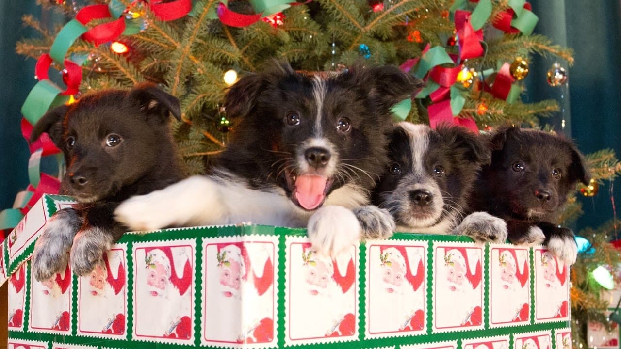 Szene aus Einsatz auf vier Pfoten 2 - Das Weihnachtsmärchen geht weiter