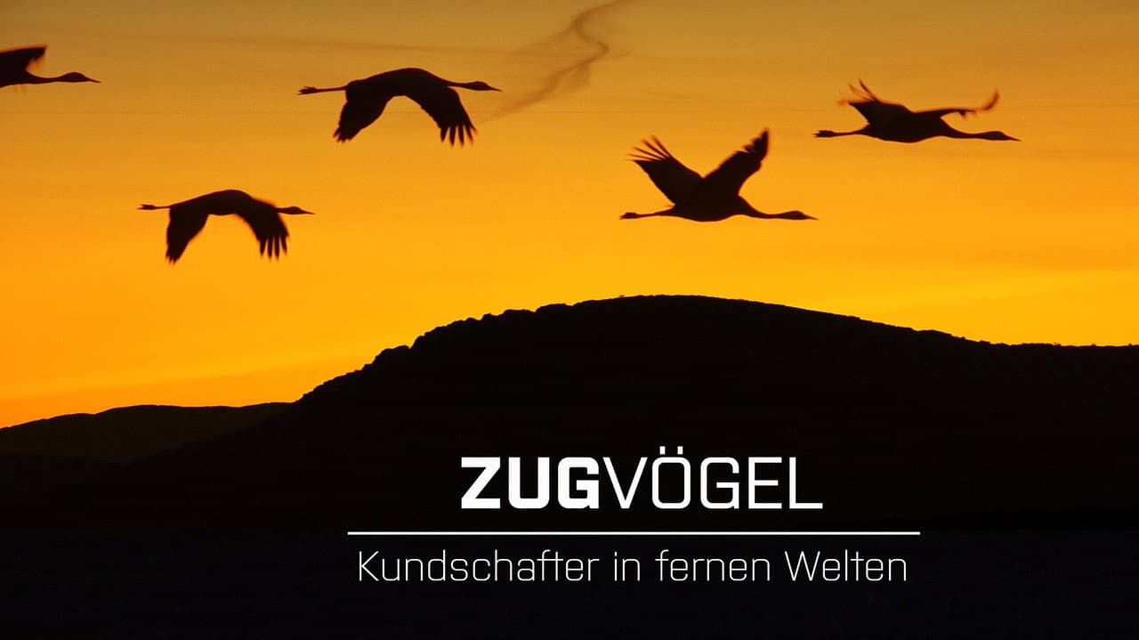 Szene aus Zugvögel - Kundschafter in fernen Welten
