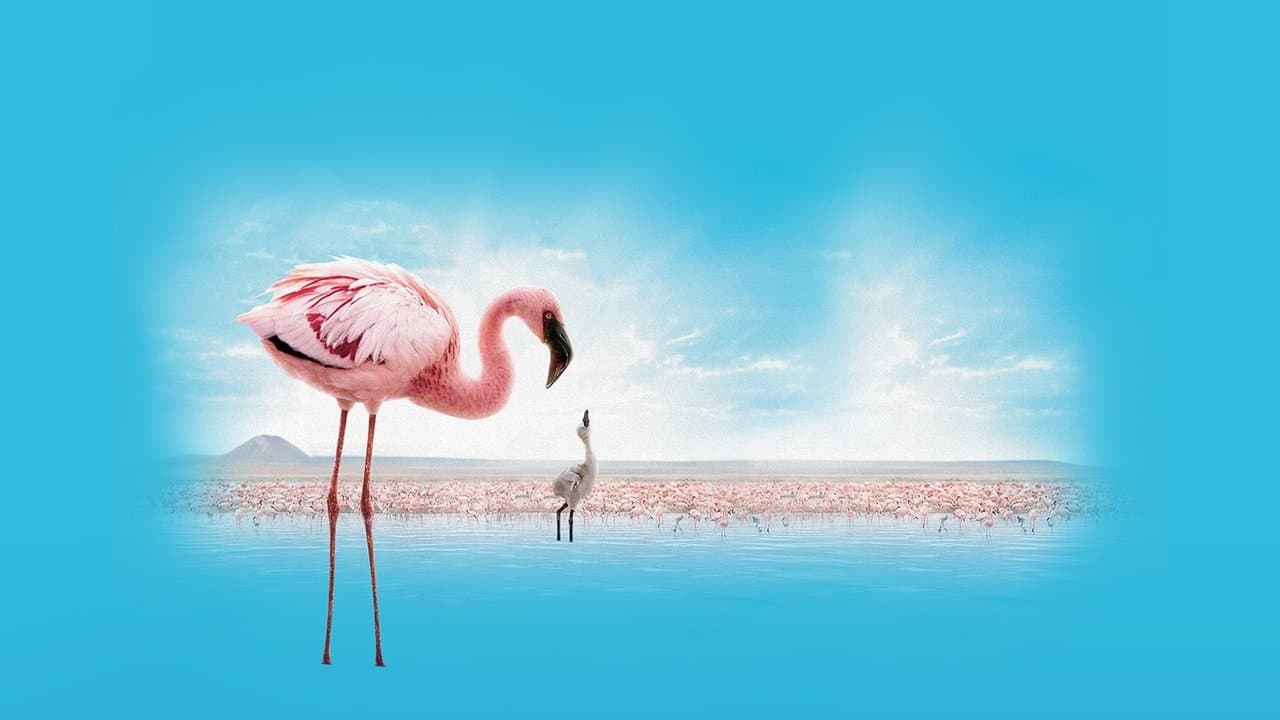 Szene aus Auf purpurnen Schwingen: Das Geheimnis der Flamingos