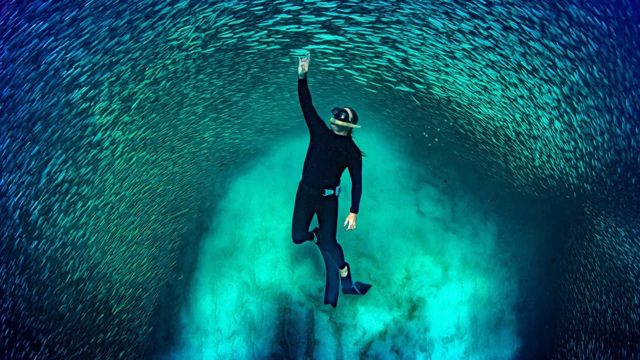 Szene aus Ningaloo Nyinggulu