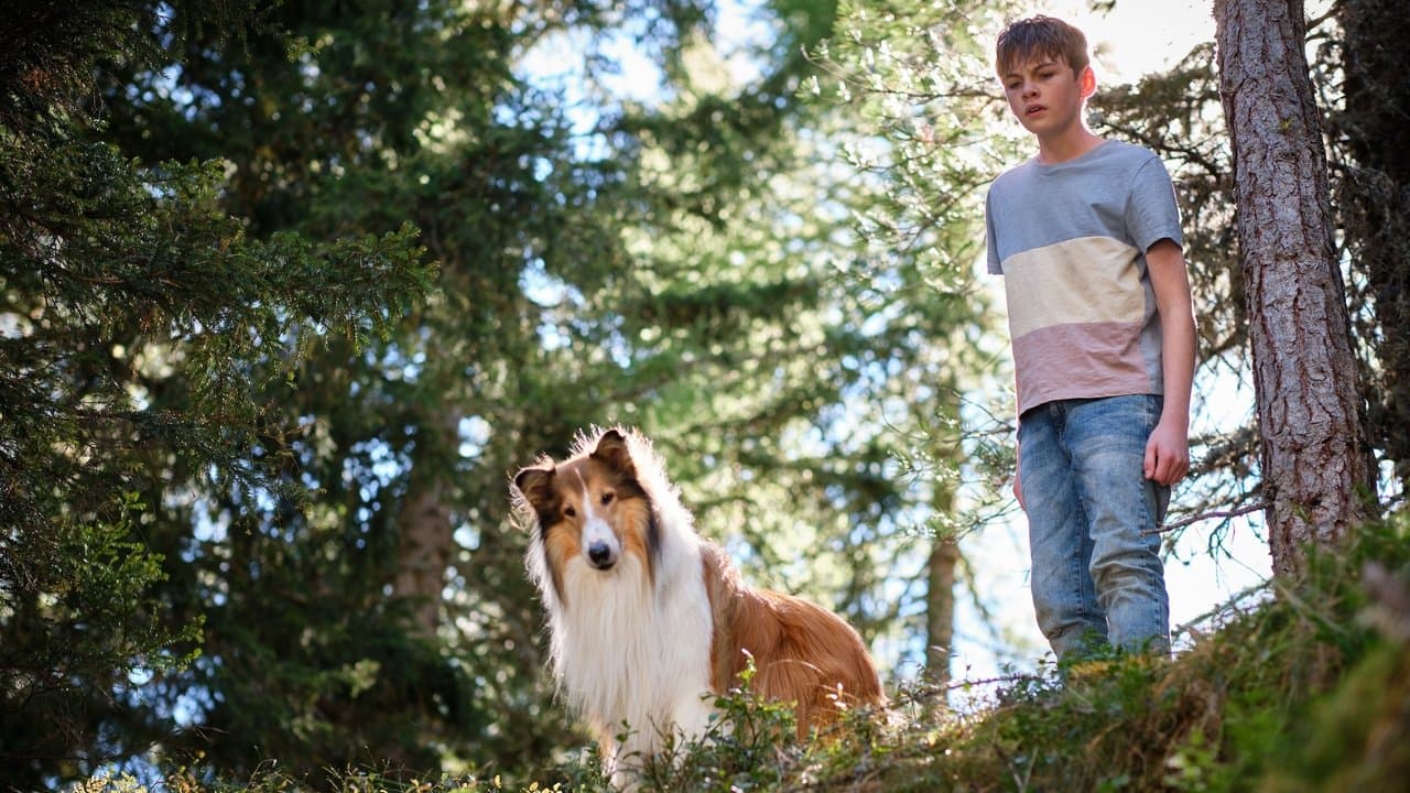 Szene aus Lassie - Ein neues Abenteuer