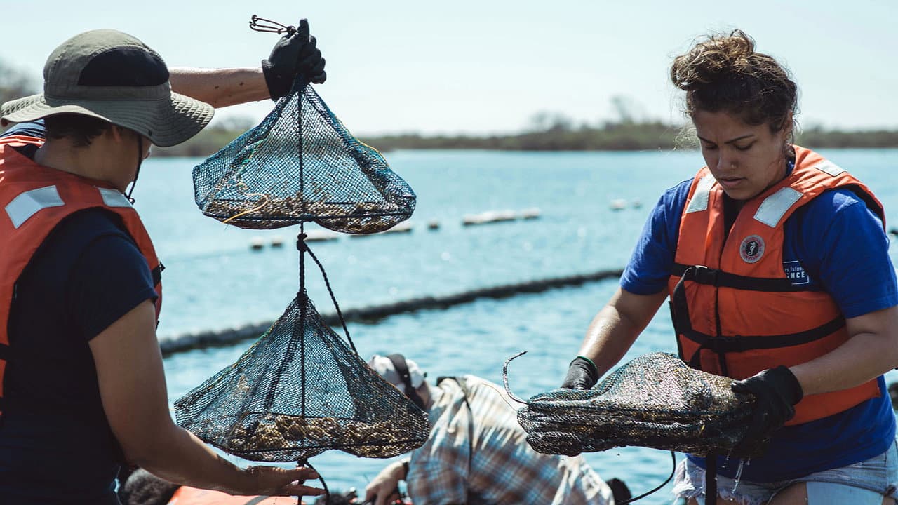 Szene aus Take Back the Harbor