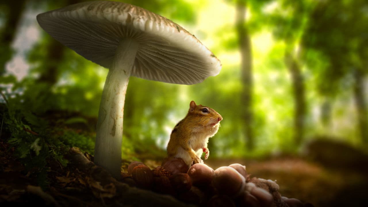 Szene aus Tiny World