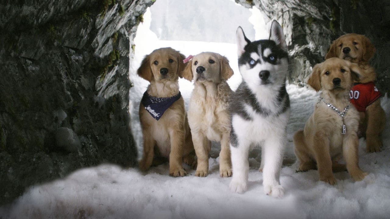 Szene aus Snow Buddies - Abenteuer in Alaska