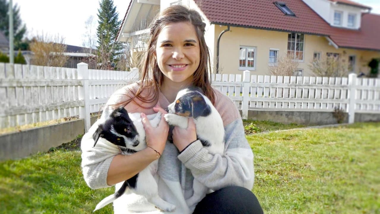 Szene aus Anna und die Haustiere