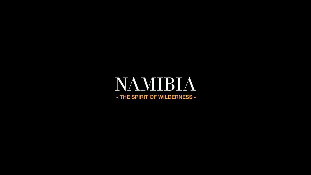Szene aus Namibia: The Spirit of Wilderness