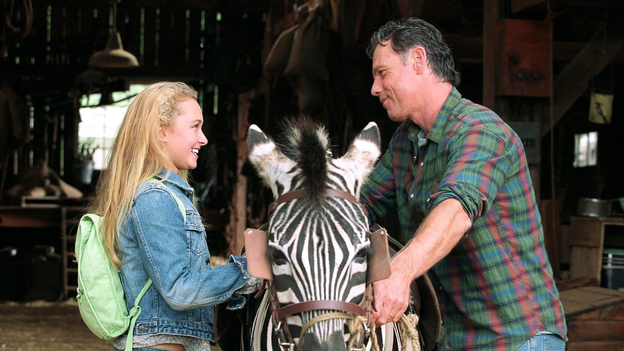 Szene aus Im Rennstall ist das Zebra los