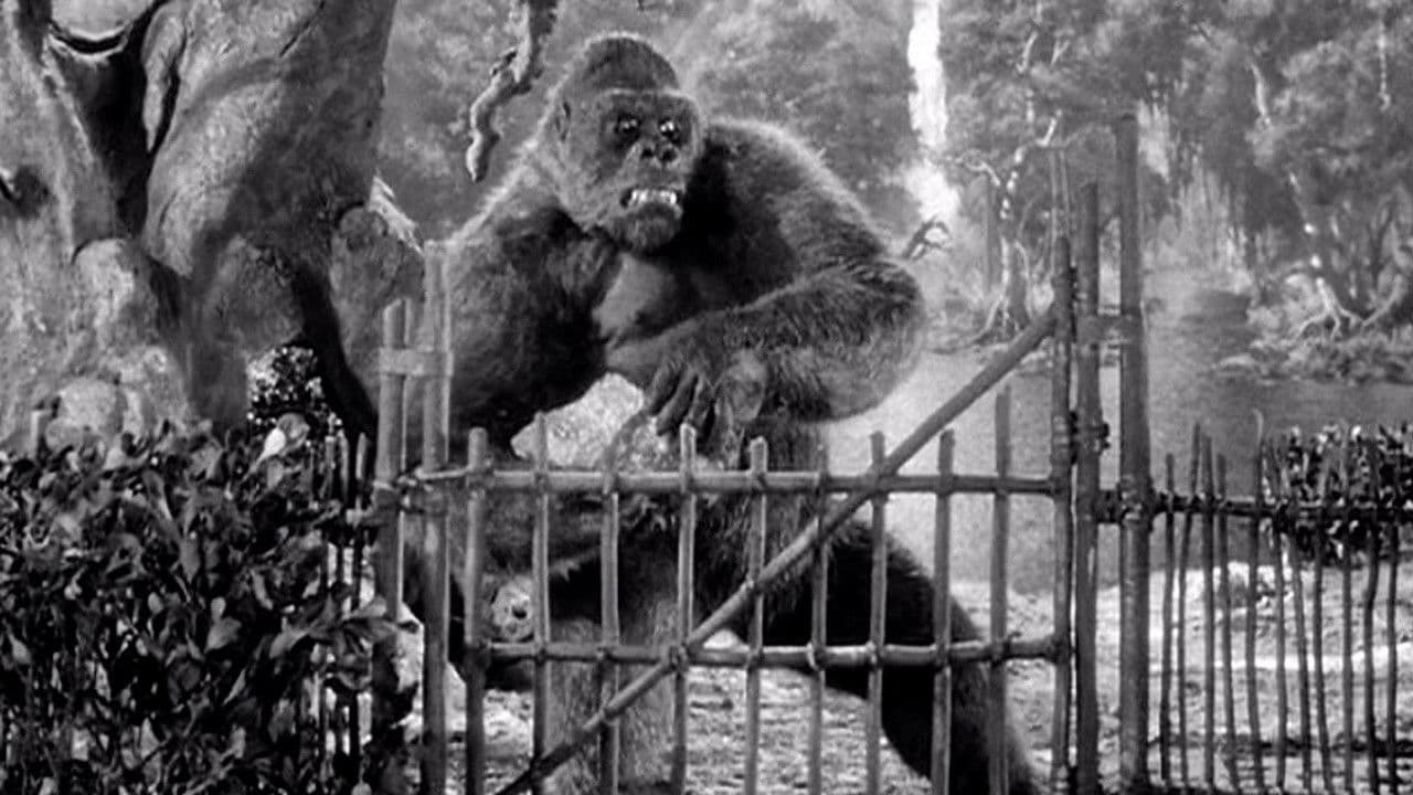 Szene aus Panik um King Kong