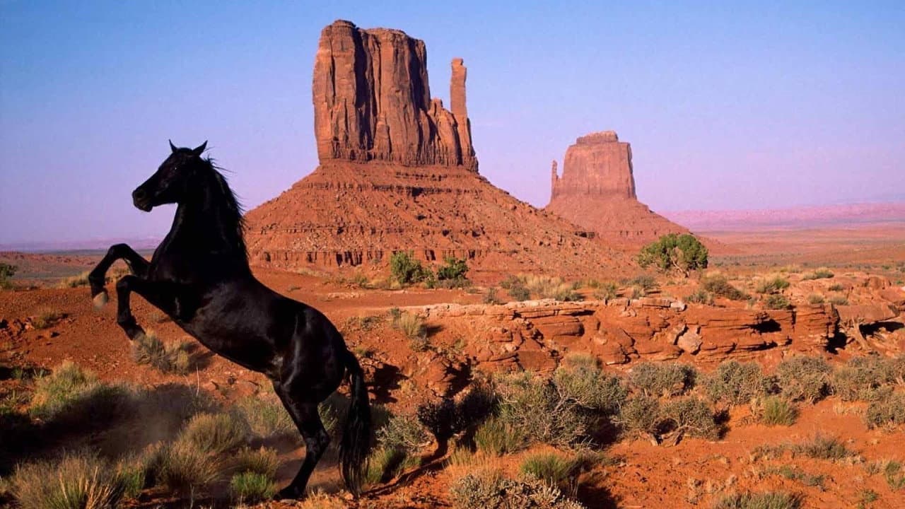 Szene aus Wild Mustang