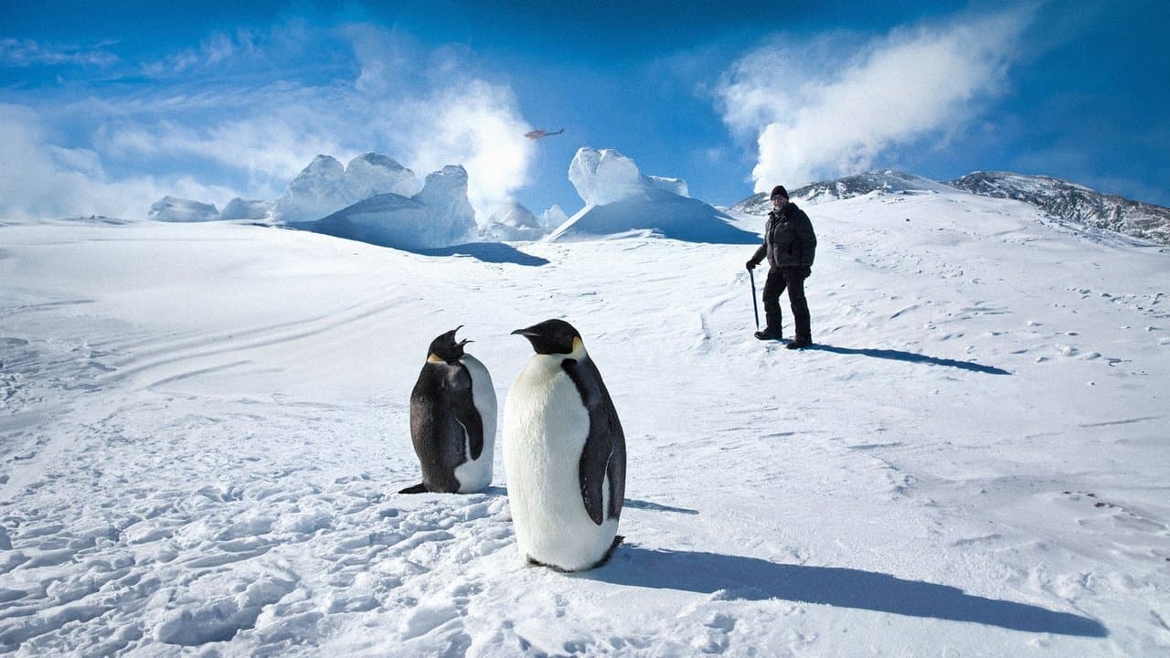 Szene aus Antarctica: A Year On Ice