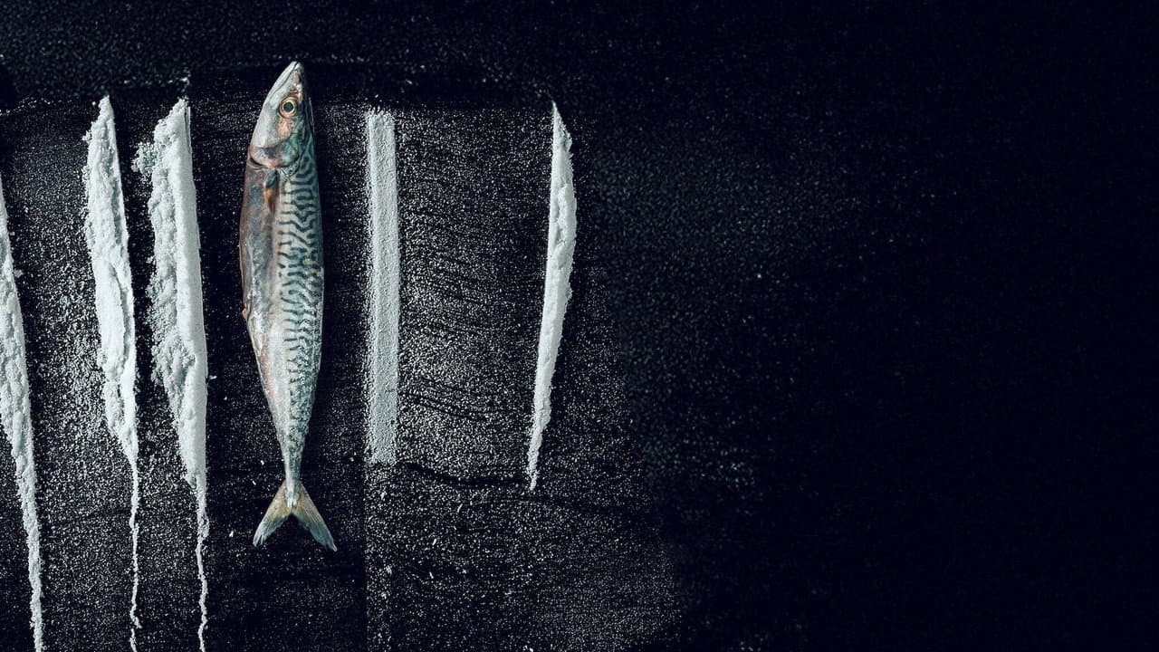 Szene aus Weißes Meer: Die surreale Story von Rabo de Peixe