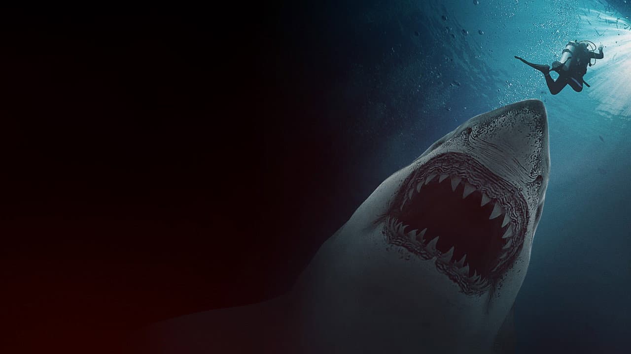 Szene aus Great White Waters