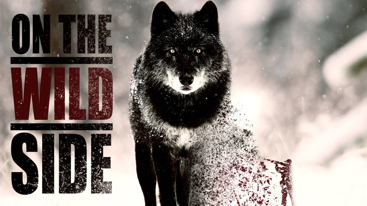 Szene aus On The Wild Side